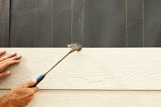 Best Historical Building Siding Restoration  in Cambridge, MA